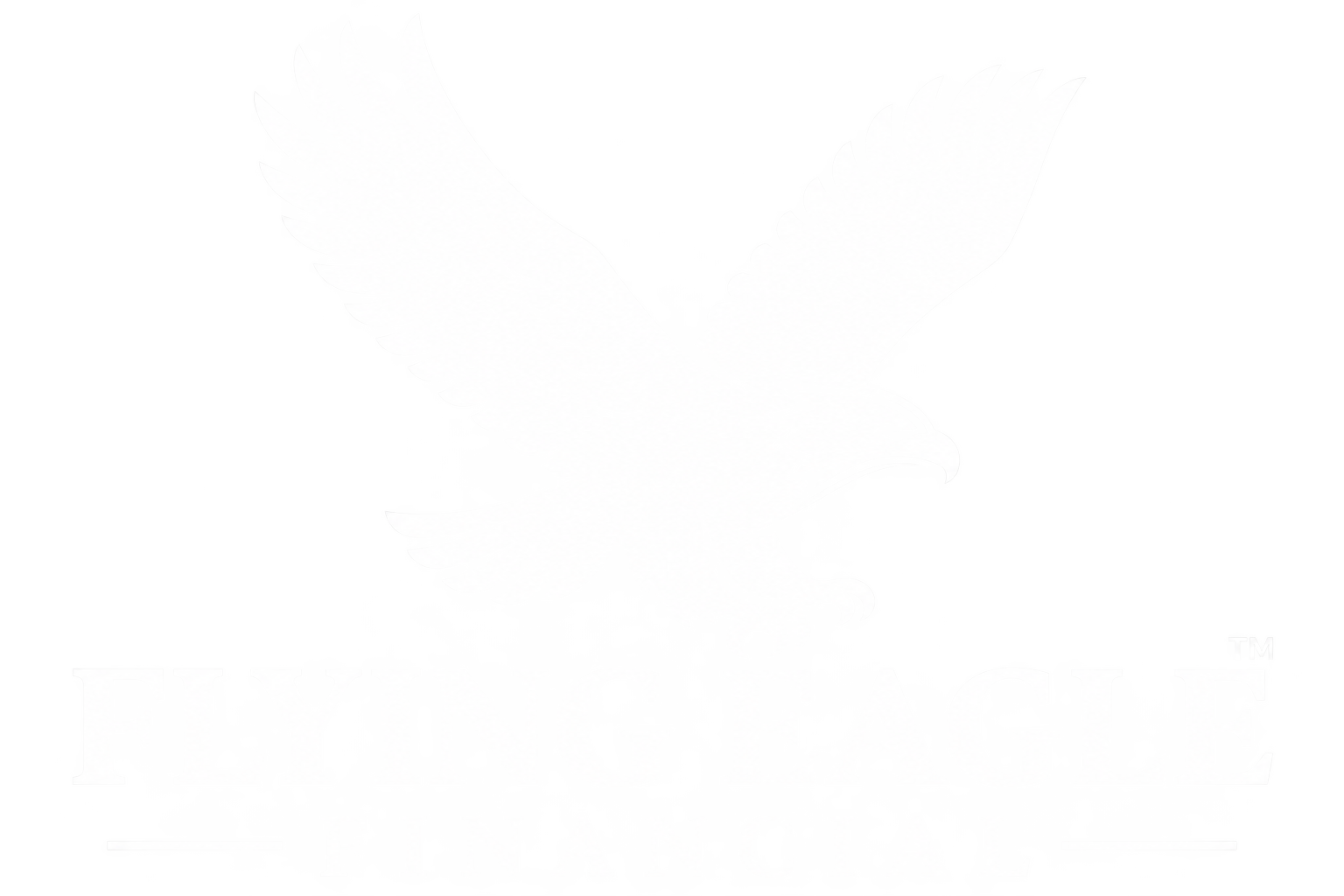 flying eagle financial logo