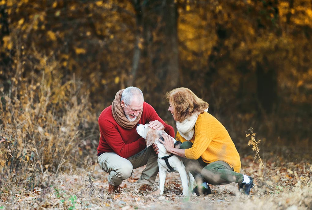 senior couple hiking with their beagle in autumn how do annuities work cedar rapids ia